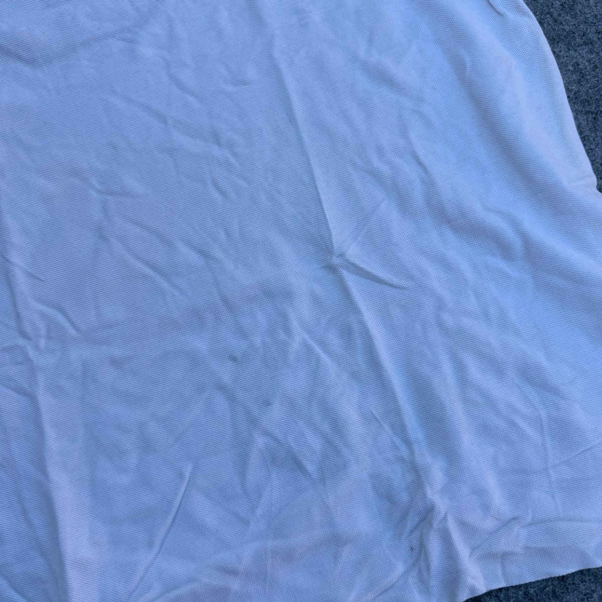 POLO (27)