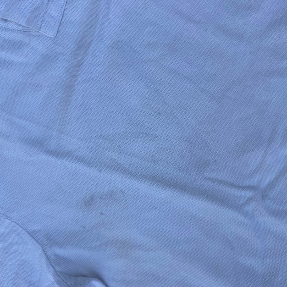 POLO (12)